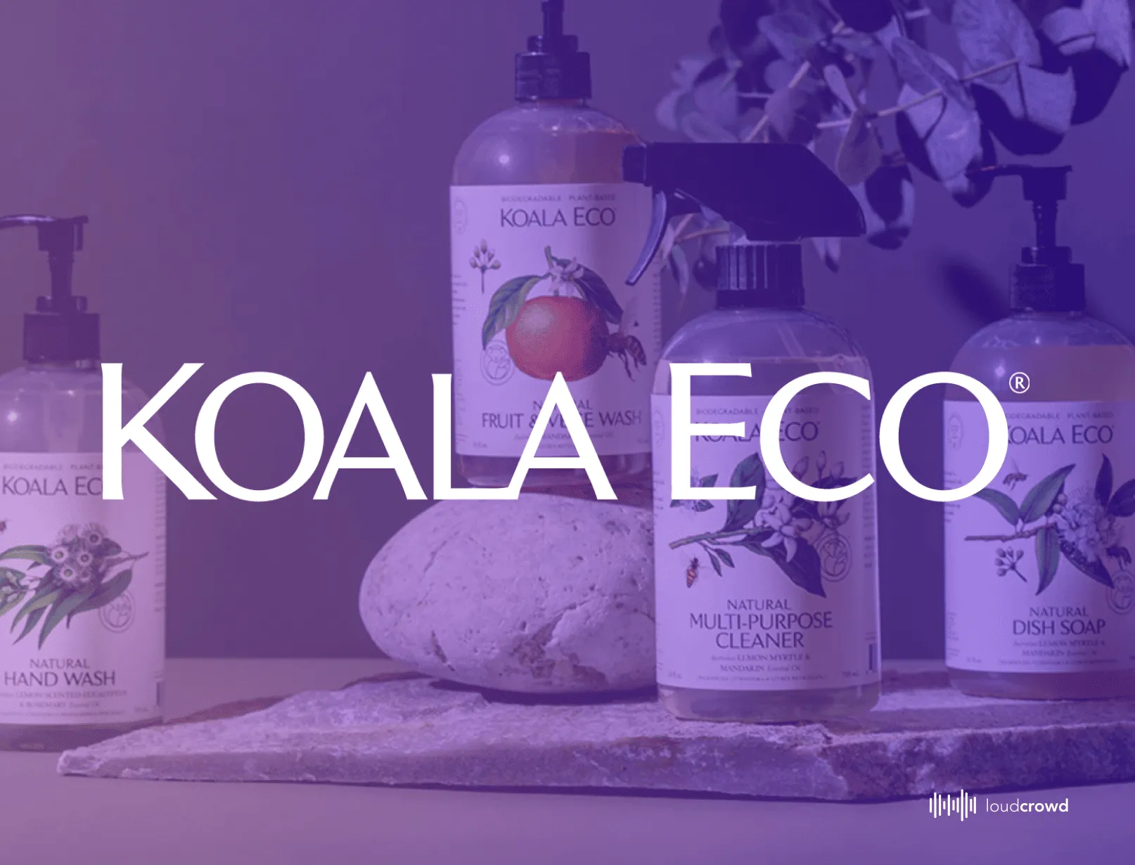 Koala Eco case-study title card showing the brand's natural cleaning and hand-wash bottles arranged on stone