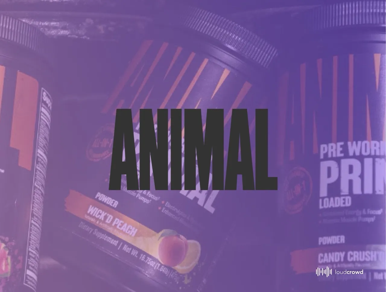 Animal Pak branded title card for the case study with the Animal logo