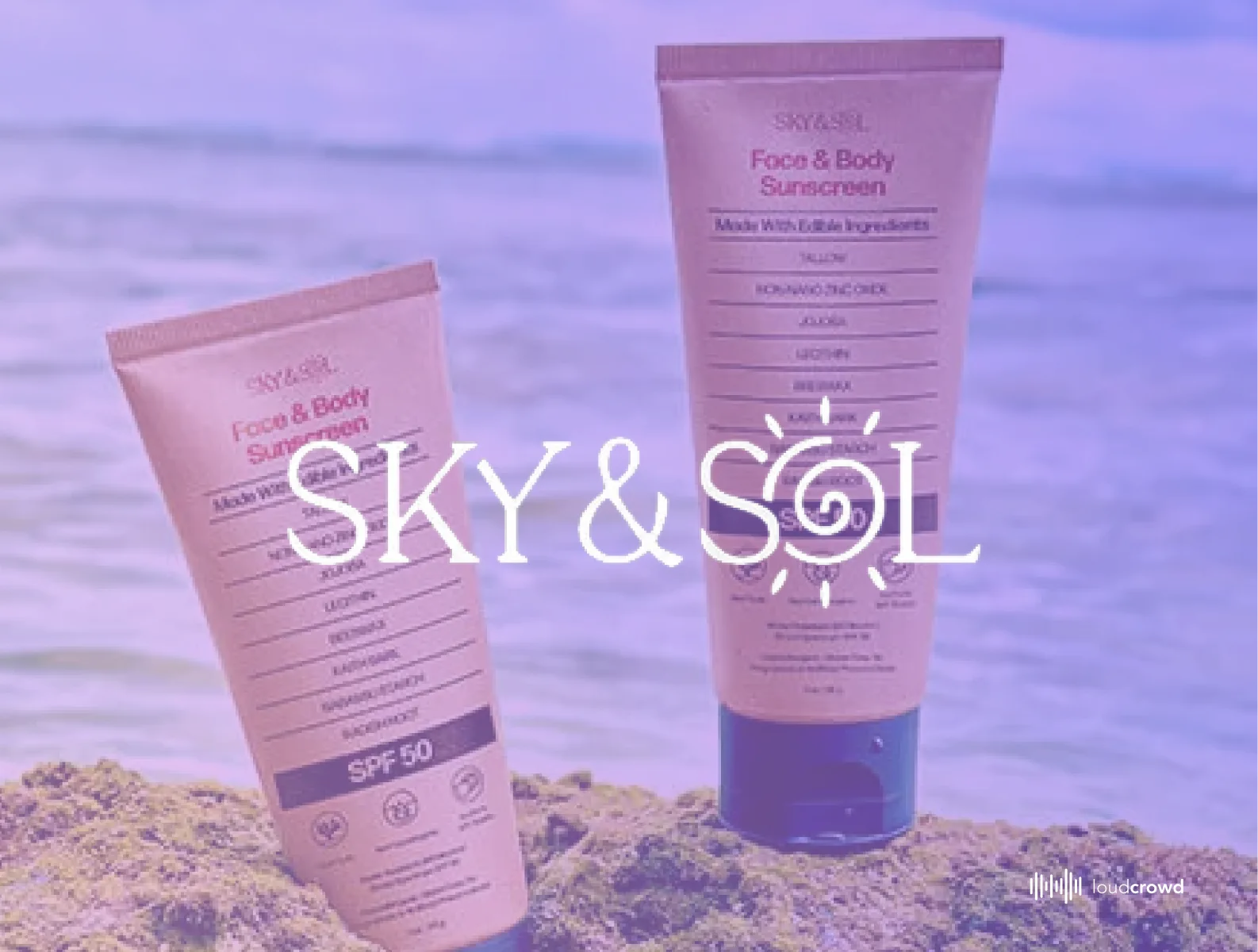 Sky & Sol branded title card for the case study with the Sky & Sol logo