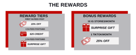 rewards of a brand ambassador program