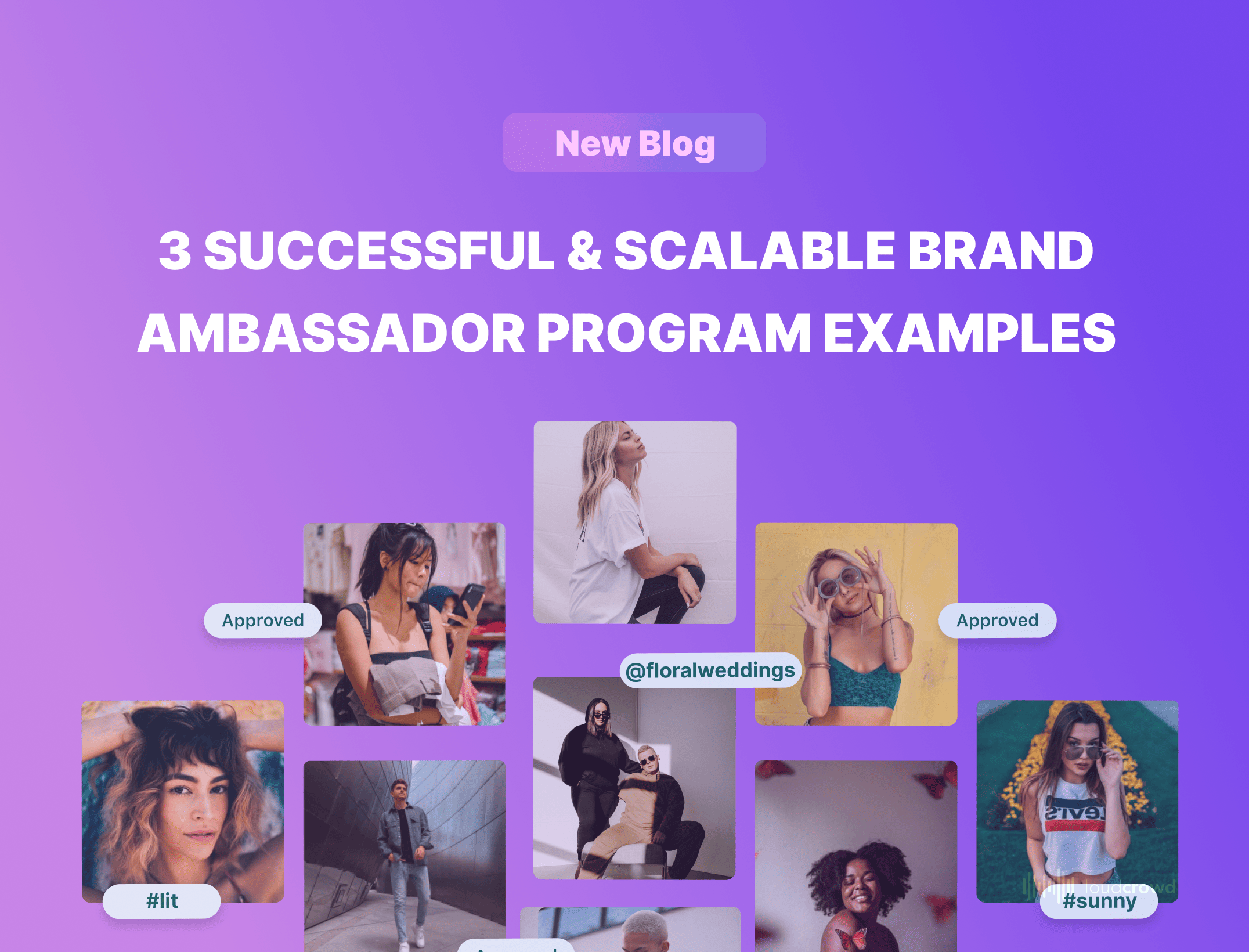 Fcknpeach: Everything You Need As A Creator - 14y3u9k