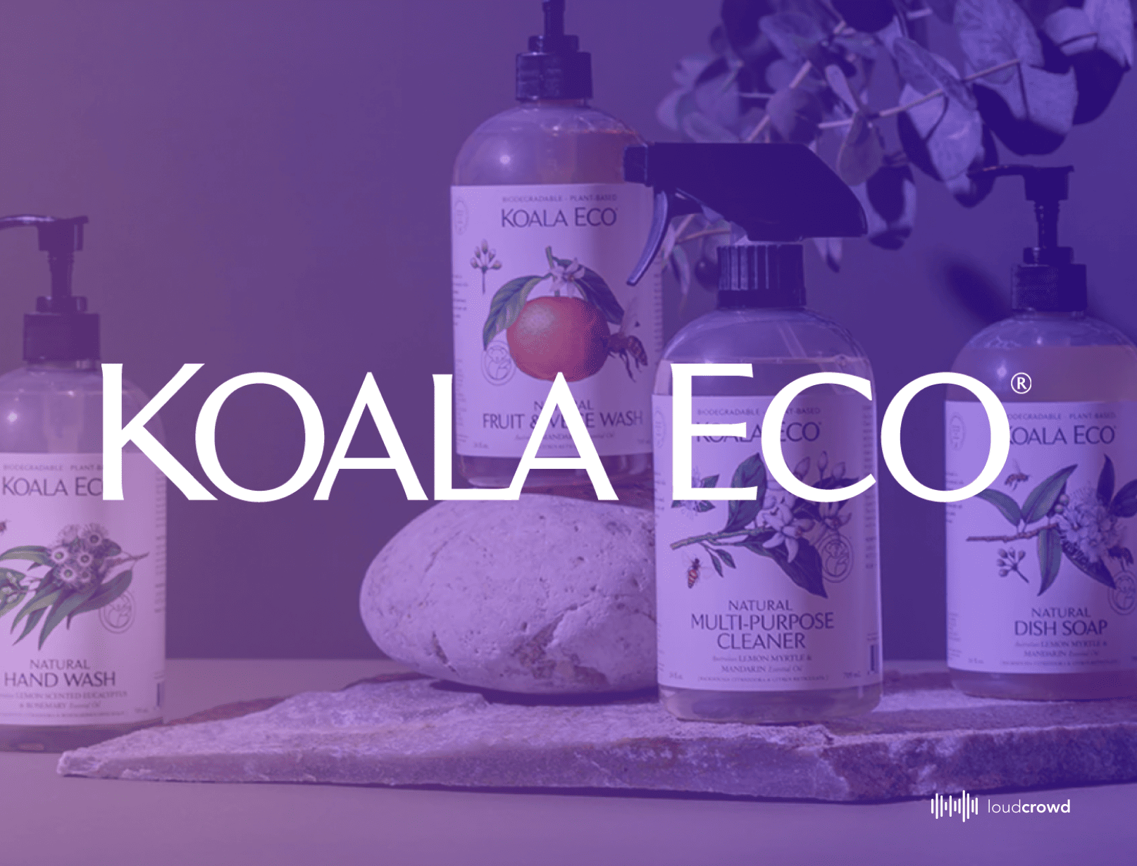 Koala Eco boosts LTV with LoudCrowd Social Clubs