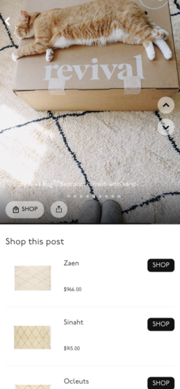 Screenshot of Revival Rugs creator storefront example